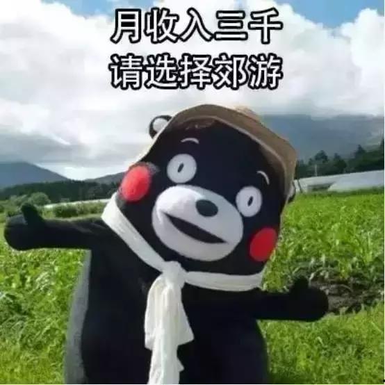 瑞奇热维斯表情包,笑出腹肌的幽默瞬间  第3张