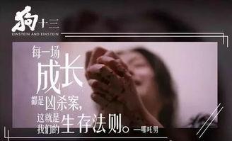 狗十三花絮,幕后趣事与感人瞬间  第1张