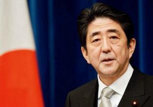 安倍搞笑发型图片大全,笑料横生的政治人物造型集锦  第2张