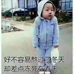 冻撒在春天的表情包,表情包里的冰雪奇缘