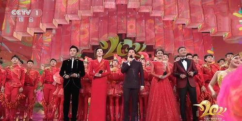春晚照片,春晚舞台精彩瞬间回顾  第3张